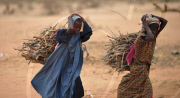 KENYA-DADAAB-REFUGEE-FIREWOOD
