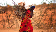 KENYA-DADAAB-REFUGEE-FIREWOOD