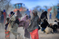 KENYA-DADAAB-REFUGEE-FIREWOOD