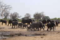 Zimbabwe - Oct 2010