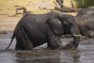 Zimbabwe - Oct 2010