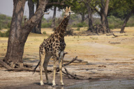 Zimbabwe - Oct 2010