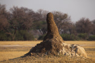 Zimbabwe - Oct 2010