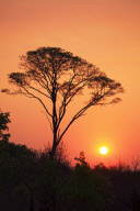 Zimbabwe - Oct 2010