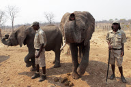 Zimbabwe - Oct 2010