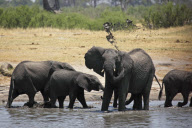 Zimbabwe - Oct 2010