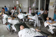 CHINA-JIANGXI-RUICHANG-SICKNESS-CRAYFISH (CN)