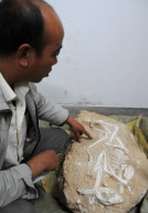 CHINA-GANSU-ANCIENT ANIMAL FOSSIL (CN)