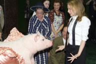 Exkl.: Kiss Me - Kylie Minogue küsst ein Schwein nach der Vorführung von Betty Blue Eyes im Novello Theatre in London