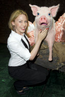 Exkl.: Kiss Me - Kylie Minogue küsst ein Schwein nach der Vorführung von Betty Blue Eyes im Novello Theatre in London