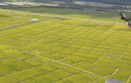 #CHINA-HEILONGJIANG-HEIHE-FARMLAND (CN)