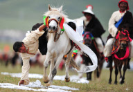 CHINA-TIBET-DAMXUNG-HORSE RACE FESTIVAL (CN) 