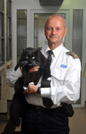 Cat survives after being cooked in microwave, Portsmouth, Hampshire, Britain - 19 Aug 2011