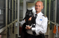 Cat survives after being cooked in microwave, Portsmouth, Hampshire, Britain - 19 Aug 2011