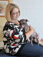 Mugly soll der hässlichste Hund Grossbritanniens sein