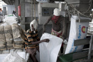 Crisis in the Horn of Africa