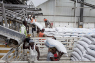 Crisis in the Horn of Africa