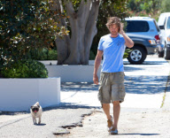 Gerard Butler Walks His Pug