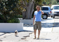 Gerard Butler Walks His Pug