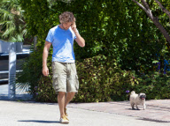 Gerard Butler Walks His Pug