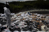 PANAMA-PANAMA CITY-DRUGS
