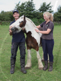Pony Buddy