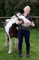 Pony Buddy