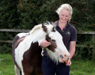 Pony Buddy