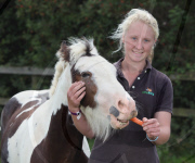 Pony Buddy