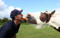 Pony Buddy