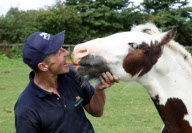Pony Buddy