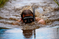 Bog Snorkelling Championships, Llanwrtyd Wells, Wales, Britain - 28 Aug 2011