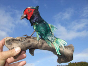 Andrew Lancaster's Taxidermy Creations, New Zealand - Aug 2011