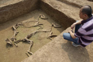 #CHINA-HENAN-LUOYANG-ANCIENT HORSE AND CHARIOT PITS (CN)