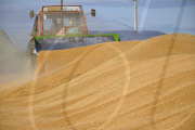 #CHINA-CROPS-HARVEST (CN)