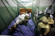 PAKISTAN-PESHAWAR-DENGUE