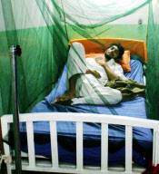 PAKISTAN-PESHAWAR-DENGUE FEVER 