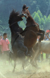 China: Grausame Pferdekämpfe in der Provinz Guangxi
