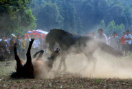 China: Grausame Pferdekämpfe in der Provinz Guangxi