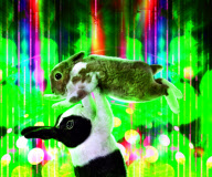 Ballroom Bunnies calendar - Aug 2011
