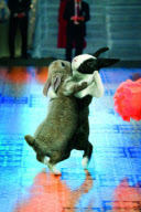 Ballroom Bunnies calendar - Aug 2011