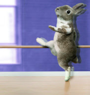 Ballroom Bunnies calendar - Aug 2011