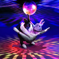 Ballroom Bunnies calendar - Aug 2011