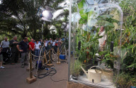 Living in a Box: TV-Professor Iain Stewart lebt im Eden Project in einem Glaskasten