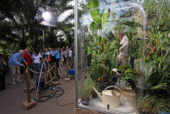 Living in a Box: TV-Professor Iain Stewart lebt im Eden Project in einem Glaskasten