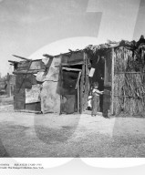 PEOPLE: Zum 50. Todestag von Dorothea Lange (11.10.)