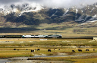 CHINA-RAILWAYS-CENTENNIAL-DEVELOPMENT (CN)