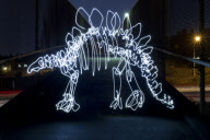 'Light Fossils' light painting art by Darren Pearson, Los Angeles, America - Sep 2011