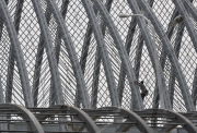 CHINA-WUHAN-BRIDGE (CN)