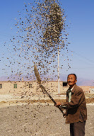 CHINA-INNER MONGOLIA-HARVEST SEASON (CN)
